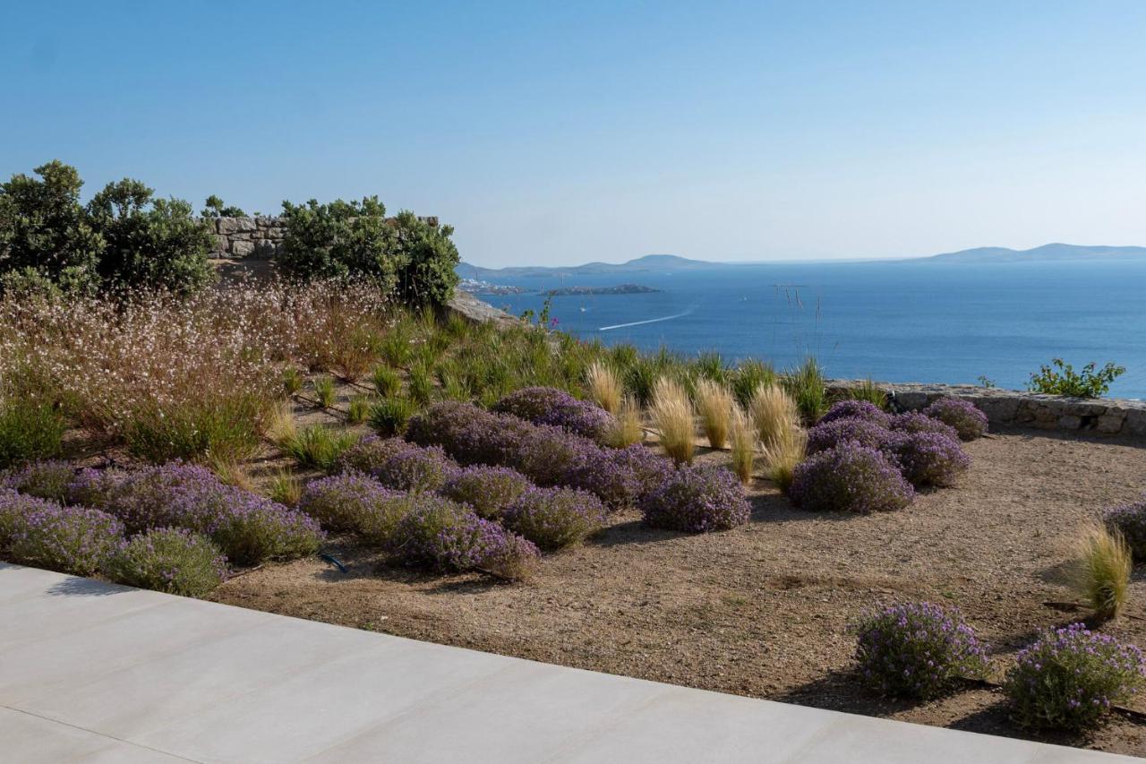 Zelia B&B & Villa Mykonos Town Exterior photo